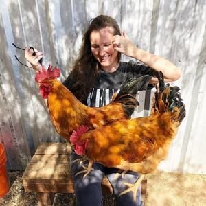 Meet your Posher, Hillary